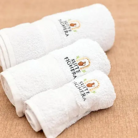 招待所 Fighera 3*